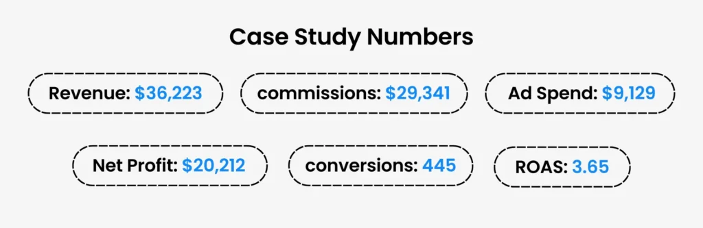web-hosting-affiliate-case-study-number